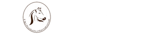 F&J Products International